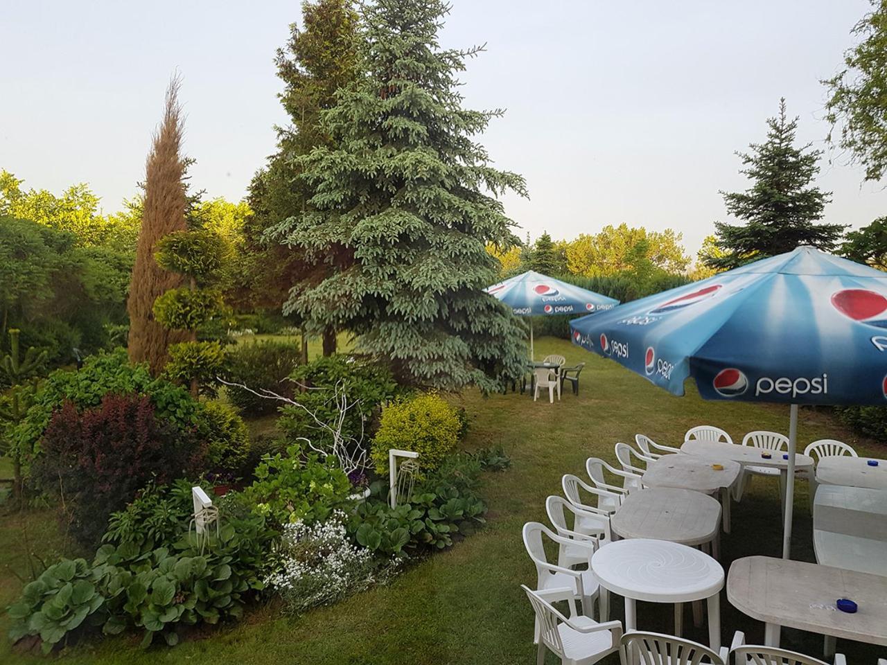 Willa Arkadia Hotel Szczecin Kültér fotó